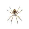Mechanical Widow Spider Model with Movable Joints High-end Gift for Him