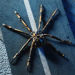 Mechanical Widow Spider Model with Movable Joints High-end Gift for Him