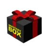Mystery Box - Build Your Own V16 Engine Model Kit