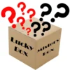 Mystery Box - Dinosaur Theme